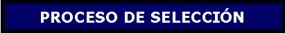 Cuadro de texto: PROCESO DE SELECCIN