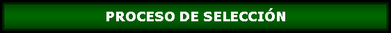Cuadro de texto: PROCESO DE SELECCIN