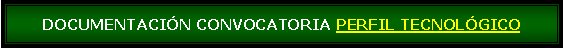 Cuadro de texto: DOCUMENTACIN CONVOCATORIA PERFIL TECNOLGICO