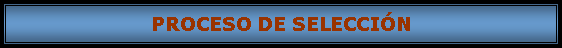 Cuadro de texto: PROCESO DE SELECCIN