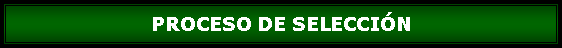 Cuadro de texto: PROCESO DE SELECCIN