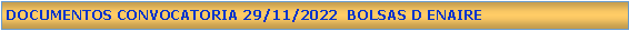 Cuadro de texto: DOCUMENTOS CONVOCATORIA 29/11/2022  BOLSAS D ENAIRE