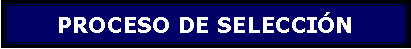 Cuadro de texto: PROCESO DE SELECCIN