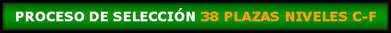 Cuadro de texto: PROCESO DE SELECCIN 38 PLAZAS NIVELES C-F