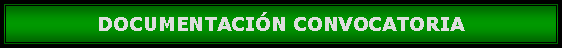 Cuadro de texto: DOCUMENTACIN CONVOCATORIA