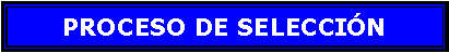 Cuadro de texto: PROCESO DE SELECCIN