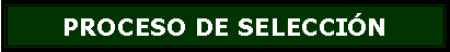 Cuadro de texto: PROCESO DE SELECCIN